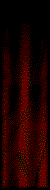 Curtain
